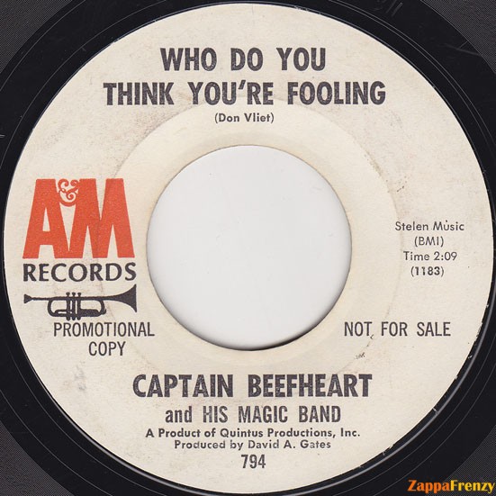 Who_Do_You_Think_You're_Fooling?